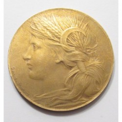 Paris summer olympics 1900 commemorative medal - Daniel Dupuis
