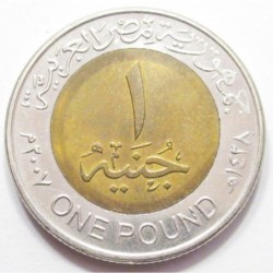 1 pound 2007