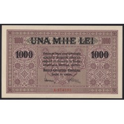 1000 lei 1917