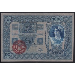 1000 kronen/korona 1920