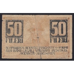 50 fileri 1919 - Temesvár