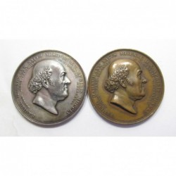 Friedrich Heinrich Krueger: Samuel Hahnemann, 50th ann. of the invention of the inventor of homeopathy - bronze and silver pair